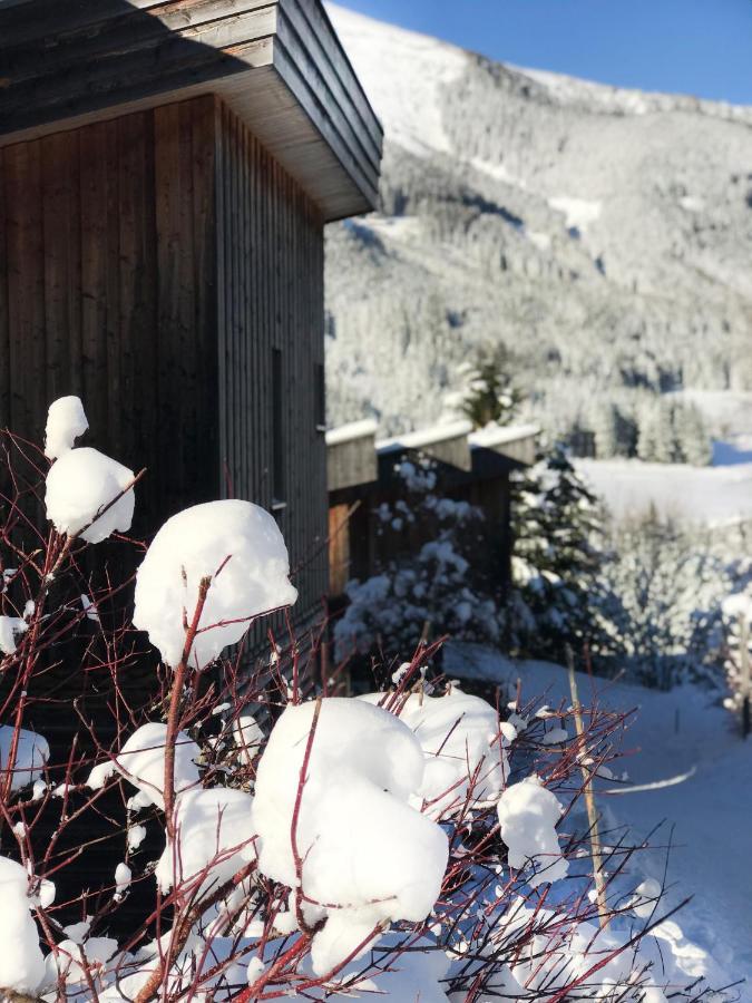 Chalet Sternwarte Hohentauern Exterior photo